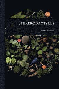 bokomslag Sphaerodactylus
