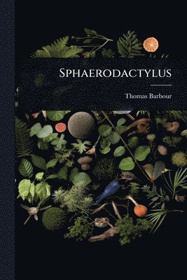 Thomas Barbour - Sphaerodactylus, Häftad
