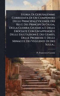 bokomslag Storia Di Gerusalemme Corredata Di Un Compendio Delle Principali Vicende Dei Rei E Dei Principi Di Giuda, Della Guerra Giudaica E Delle Erociate Con U