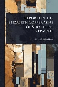 bokomslag Report On The Elizabeth Copper Mine Of Strafford, Vermont