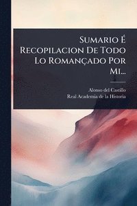 bokomslag Sumario Ã¿ Recopilacion De Todo Lo Romançado Por Mi...