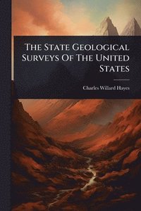 bokomslag State Geological Surveys Of The United States
