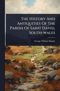 bokomslag History And Antiquities Of The Parish Of Saint David, South-wales