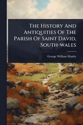 bokomslag History And Antiquities Of The Parish Of Saint David, South-wales