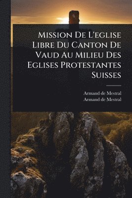 bokomslag Mission De L'eglise Libre Du Canton De Vaud Au Milieu Des Eglises Protestantes Suisses