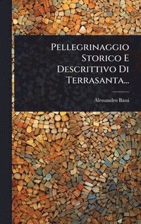 bokomslag Pellegrinaggio Storico E Descrittivo Di Terrasanta...