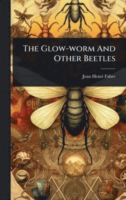 bokomslag Glow-worm And Other Beetles