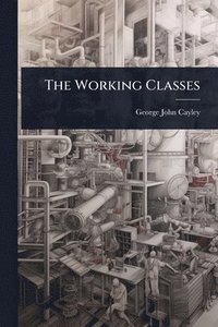 bokomslag Working Classes