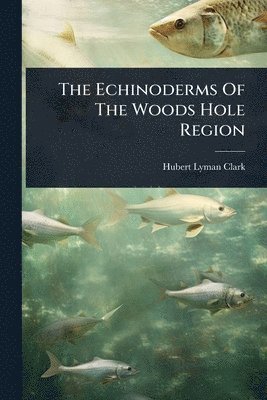 bokomslag The Echinoderms Of The Woods Hole Region