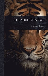bokomslag Soul Of A Cat