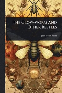 bokomslag Glow-worm And Other Beetles