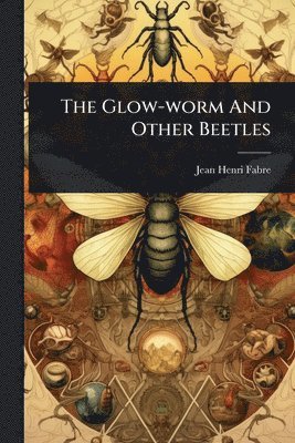 bokomslag Glow-worm And Other Beetles