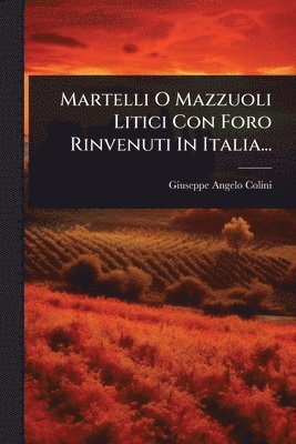 Giuseppe Angelo Colini - Martelli O Mazzuoli Litici Con Foro Rinvenuti In Italia..., Häftad