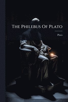 bokomslag Philebus Of Plato