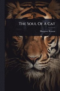 bokomslag Soul Of A Cat