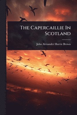 bokomslag The Capercaillie In Scotland