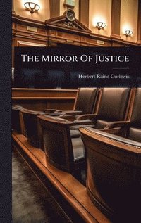 bokomslag Mirror Of Justice
