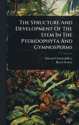 bokomslag Structure And Development Of The Stem In The Pteridophyta And Gymnosperms