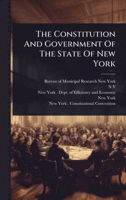 bokomslag Constitution And Government Of The State Of New York