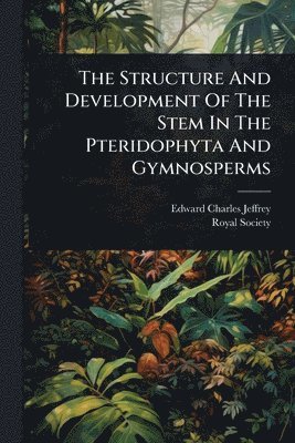 bokomslag Structure And Development Of The Stem In The Pteridophyta And Gymnosperms