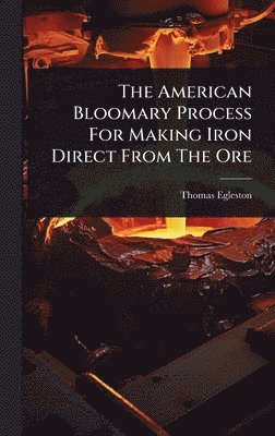 Thomas Egleston - American Bloomary Process For Making Iron Direct From The Ore, Inbunden