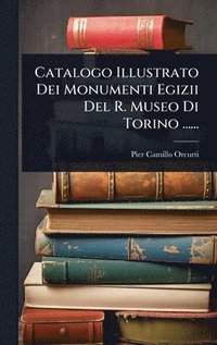 bokomslag Catalogo Illustrato Dei Monumenti Egizii Del R. Museo Di Torino ......