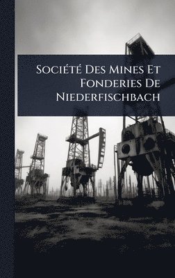 bokomslag SociÃ(c)tÃ(c) Des Mines Et Fonderies De Niederfischbach