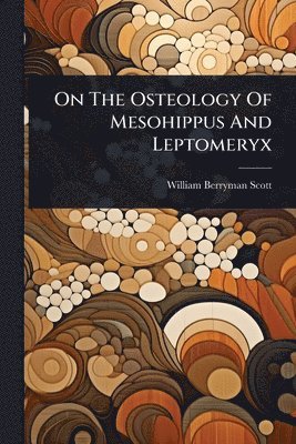 William Berryman Scott - On The Osteology Of Mesohippus And Leptomeryx, Häftad