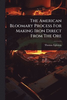 Thomas Egleston - American Bloomary Process For Making Iron Direct From The Ore, Häftad