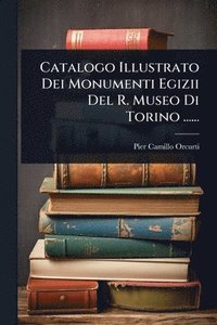 bokomslag Catalogo Illustrato Dei Monumenti Egizii Del R. Museo Di Torino ......