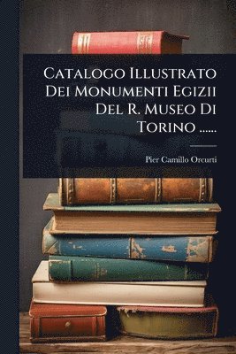 bokomslag Catalogo Illustrato Dei Monumenti Egizii Del R. Museo Di Torino ......