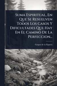bokomslag Suma Espiritual, En Que Se Resuelven Todos Los Casos Y Dificultades Que Hay En El Camino De La Perfeccion...