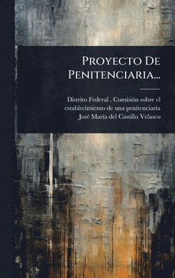 bokomslag Proyecto De Penitenciaria...