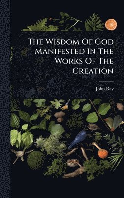 Wisdom Of God Manifested In The Works Of The Creation