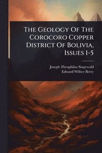 bokomslag Geology Of The Corocoro Copper District Of Bolivia, Issues 1-5