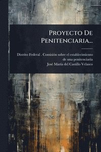 bokomslag Proyecto De Penitenciaria...