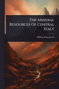 bokomslag Mineral Resources Of Central Italy
