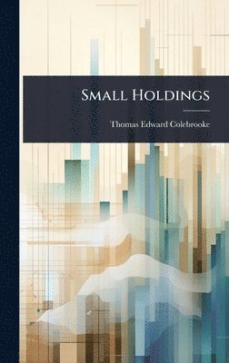 bokomslag Small Holdings