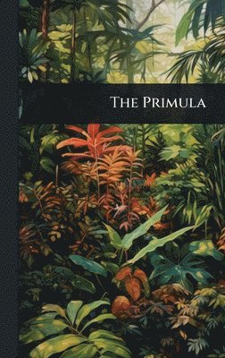 Anonymous - Primula, Inbunden