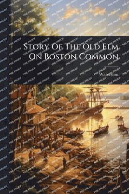bokomslag Story Of The Old Elm On Boston Common