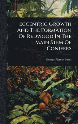 Eccentric Growth And The Formation Of Redwood In The Main Stem Of Conifers