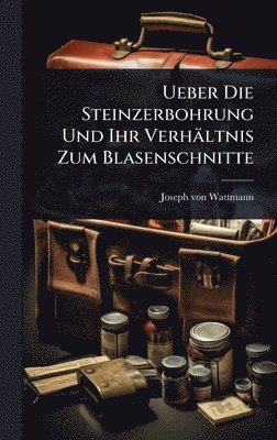 bokomslag Ueber Die Steinzerbohrung Und Ihr Verhältnis Zum Blasenschnitte