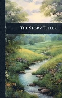 bokomslag Story Teller
