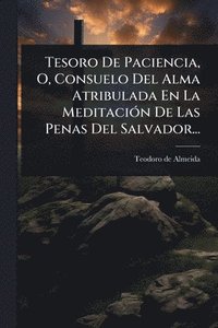 bokomslag Tesoro De Paciencia, O, Consuelo Del Alma Atribulada En La MeditaciÃ3n De Las Penas Del Salvador...