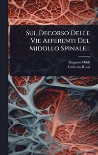 bokomslag Sul Decorso Delle Vie Afferenti Del Midollo Spinale...