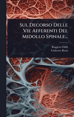 bokomslag Sul Decorso Delle Vie Afferenti Del Midollo Spinale...