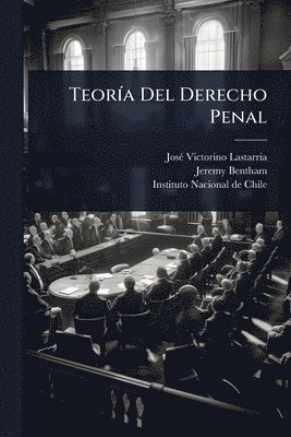 bokomslag TeorÃ-a Del Derecho Penal