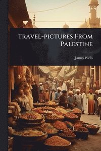 bokomslag Travel-pictures From Palestine