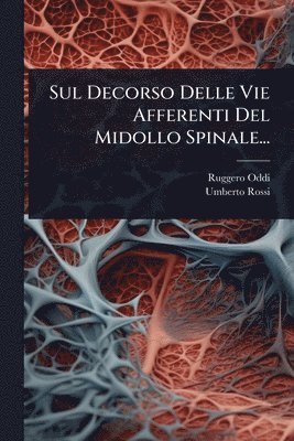 bokomslag Sul Decorso Delle Vie Afferenti Del Midollo Spinale...