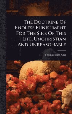 bokomslag Doctrine Of Endless Punishment For The Sins Of This Life, Unchristian And Unreasonable